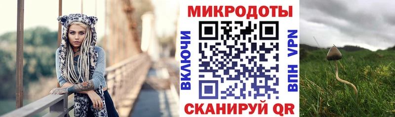Галлюциногенные грибы мицелий  дарнет шоп  omg как войти  Калач 